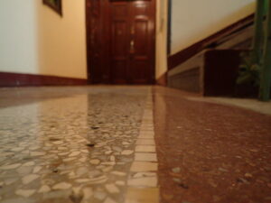 Teraso po renovaci